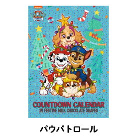 クリスマス【カウントダウンキャラクター】スヌーピー パウパトロール ディズニープリンセス ミッキー＆フレンズ ミニオン トイ・ストーリー サンリオキャラクターズ /1枚 2枚 3枚 / アドベントカレンダー クリスマスプレゼント チョコレート
