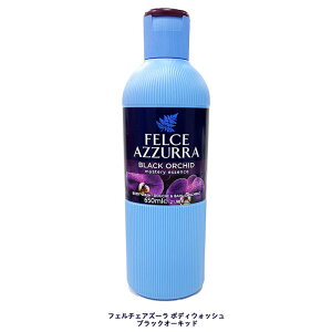  y{fBEHbV 3{ZbgzV[\g RRibc&ou[ ubNI[Lbh / 650ml × 3 / {fBVv[ t Ό   v[g Mtg C^A CO 