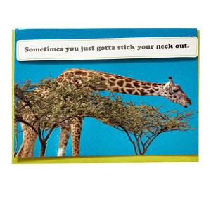 【全国一律送料無料 メッセージカード】 キリン 1枚 封筒付き 動物カード どうぶつ アニマル グリーティングカード バースデーカード 誕生日 バースデー メッセージ 誕生日カード グリーテ