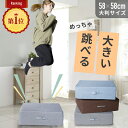 ■8/11迄 SALE価格■ クッショントランポリン 58×58cm 大きい トランポリンクッション 子供 大人用 ダイエット クッション トランポリン 高反発 ファブリックエクササイズ インテリア トレーニング 体幹 おしゃれ 室内用 家庭用 自宅 お年寄り