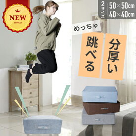 【新発売価格】2025 NEWモデル クッショントランポリン 厚さ20cm 大きい トランポリンクッション 子供 大人用 ダイエット クッション トランポリン 高反発 ファブリックエクササイズ インテリア トレーニング 体幹 おしゃれ 室内用 家庭用 自宅 お年寄り