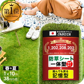 【努力価格】 人工芝 芝丈38mm 30mm 20mm 密度1.9倍 1mx10m 送料無料 防草 芝生 人工芝生 人口芝 防草シート 人工芝リアル ガーデニング ガーデン ベランダ バルコニー 屋上 テラス ロール ピン