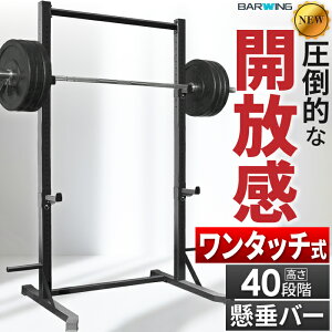 ベンチ ぶら下がり健康器 トレーニング」の人気商品一覧・価格比較 