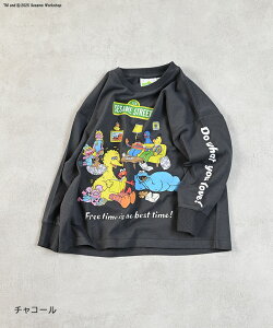 yʒzSesame Street vgT Sesame Street ZT~Xg[g GNbL[X^[ rbOo[h q 100% LbY xr[ j̎q ̎q gbvX TVc 2025AWy[֑Ώ