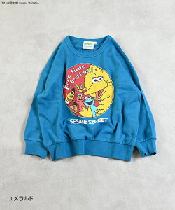 yʒzSesame Street vgg[i[ ZT~Xg[g G NbL[X^[ XEFbg LN^[ q 100% LbY xr[ j̎q ̎q gbvX TVc 킢 CX