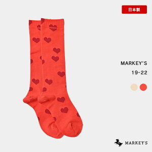 y{z nC\bNX hearti19-22cmj }[L[Y q G LbY xr[ j̎q ̎q C Vw w ʉʊwy[֑Ώہ^wsz