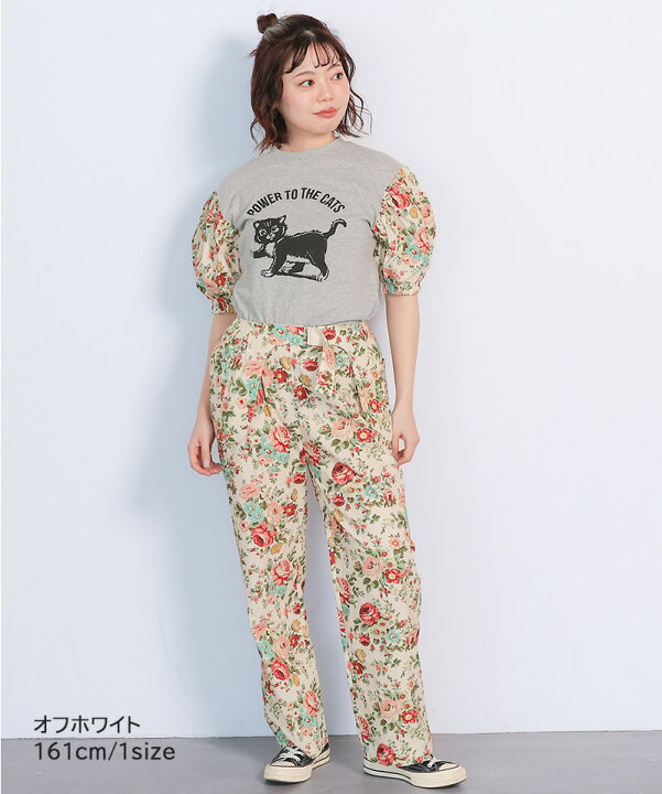 楽天市場】【SALE／20%OFF】【親子お揃い】【別注】softcheese 