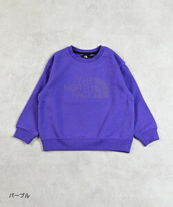 T Sweat Graphic Crewi100`120cmj THE NORTH FACE m[XtFCX ZNg q LbY xr[ j̎q ̎q gbvX  g[i[ 2025AW