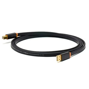 OYAIDE d+USB ClassA rev2/2.0 [2.0m]@USBP[uyz敪Az