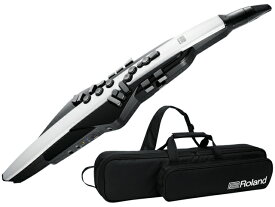 Roland ローランド Aerophone AE-20　ウィンドシンセサイザー