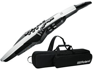 Roland Aerophone AE-20�@�E�B���h�V���Z�T�C�U�[