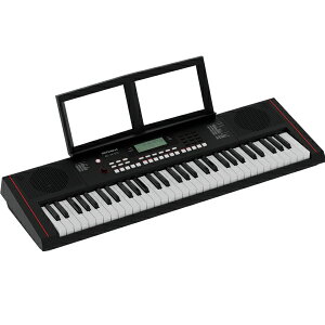 Roland E-X10 Arranger Keyboardyz敪Fz
