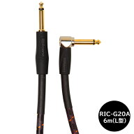 Roland ローランド RIC-G20A 6m L型