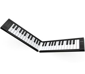 TAHORNG ORIPIA 49 ubNmOP49BKn ܂肽49 dqsAm