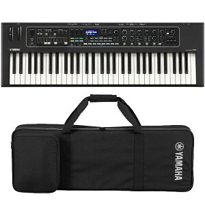 YAMAHA CK61 + \tgP[X SC-DE61 Zbg@Xe[WL[{[hyz敪Iz