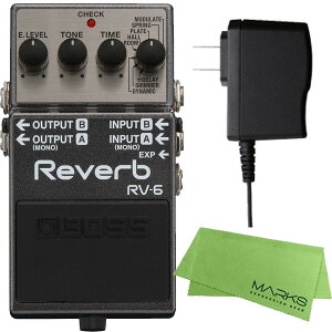 BOSS RV-6 + PSA-100S2 Zbgm}[NXEIWiNXtn@RpNgGtFN^[