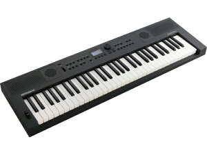 Roland GO:KEYS5 GT [GOKEYS5-GT] �O���t�@�C�g�@�V���Z�T�C�U�[