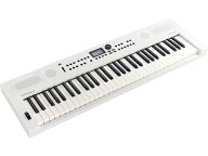 Roland ローランド GO:KEYS5 WH [GOKEYS5-WH] ホワイト　シンセサイザー