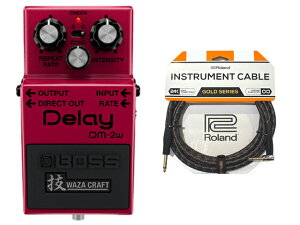 BOSS �{�X Delay DM-2w(J)/�ZWAZA CRAFT + Roland �P�[�u�� �Z�b�g�@�f�B���C