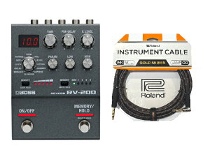 BOSS �{�X RV-200 + Roland �P�[�u��
