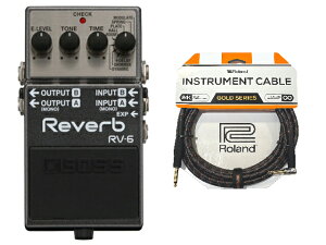 BOSS �{�X RV-6 + Roland �P�[�u�� �Z�b�g�@�R���p�N�g�G�t�F�N�^�[