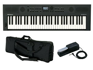 Roland ���[�����h GOKEYS5-GT + KBB61 + DP-10�Z�b�g �O���t�@�C�g �V���Z�T�C�U�[