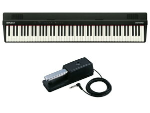 Roland ���[�����h GO-88PX + DP-10 �Z�b�g �f�W�^���s�A�m
