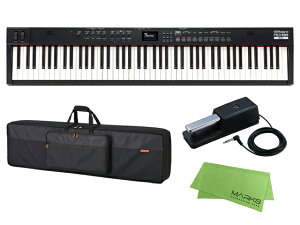 Roland RD-88EX + CB-B88V2 + DP-10Zbg Xe[WsAm