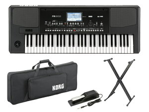 KORG Pa300 Gg[pbNiy_DS-1H Ver.j@VZTCU[yz敪IzyP-3z