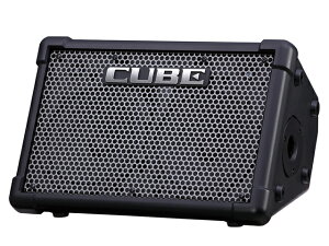 Roland ���[�����h CUBE Street EX/CUBE-STEX�@�d�r�쓮 �A���v