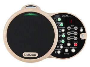 BOSS Rhythm Partner DR-01S�@���Y���}�V��