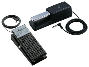 Roland DP-10 + EV-5 Zbg@_p[y_^GNXvbVy_yz敪Az