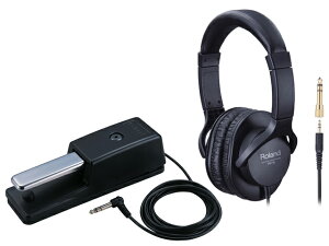 Roland DP-10 + RH-5 �Z�b�g�@�_���p�[�y�_���^���j�^�[�w�b�h�z��