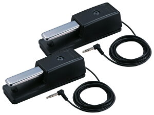 y܂ƂߔzRoland DP-10 2Zbg@_p[y_