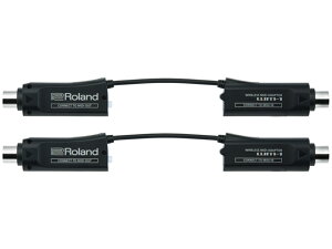 Roland WM-1 2Zbg@CXMIDIA_v^[