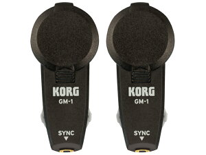 KORG GM-1 2pcs O[vgm[ yz敪YCz