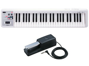 Roland A-49 zCg [A-49-WH] + _p[y_ DP-10 Zbg@MIDIRg[[