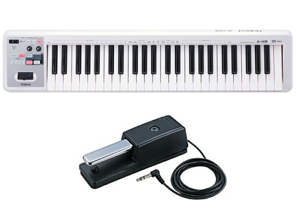 Roland ローランド A-49 ホワイト [A-49-WH] + ダンパーペダル DP-10 セット　MIDIコントローラー