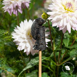 yP[gbp[ixjAeB[NuY ͂˂݁z