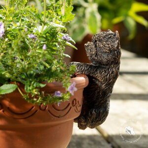 y|bgofB[Y uY EFXgnCheAz