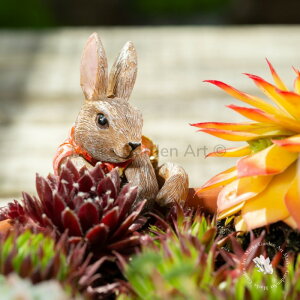 y|bgofB[Y rAgNX|b^[Fs[^[̖tvV[z