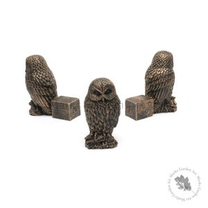 y|bgtB[g AeB[NuYFtNEz