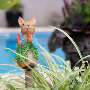 yP[gbp[ixjrAgNX|b^[ fBbVs[^[rbgz