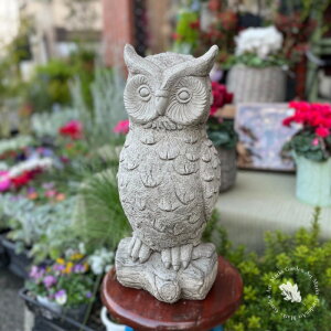 �y�p�����X�g�[���K�[�f���I�[�i�����g�F�t�N���E�i��j�i�u���j�z