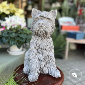 �y�p�����X�g�[���K�[�f���I�[�i�����g�F������e���A�z