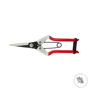 yǐՉ\[֔zyp[J[Darlac/Vine Scissor ԂǂnT~z