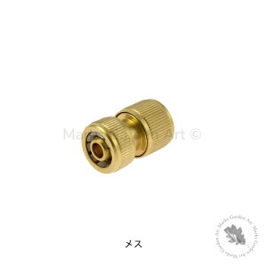 yp[J[Darlac/^Jz[XڎipjWCg RlN^[z