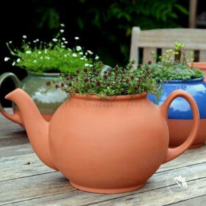 ypTea Pot Planter eB[|bg^v^[ i4TCYWJjz