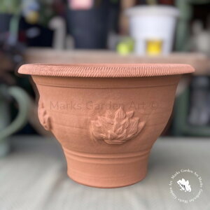 ypWhichford Hosta Pot EBb`tH[h zX^|bgz