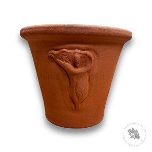ypWhichford Arum Lily Pot EBb`tH[h A[|bgz